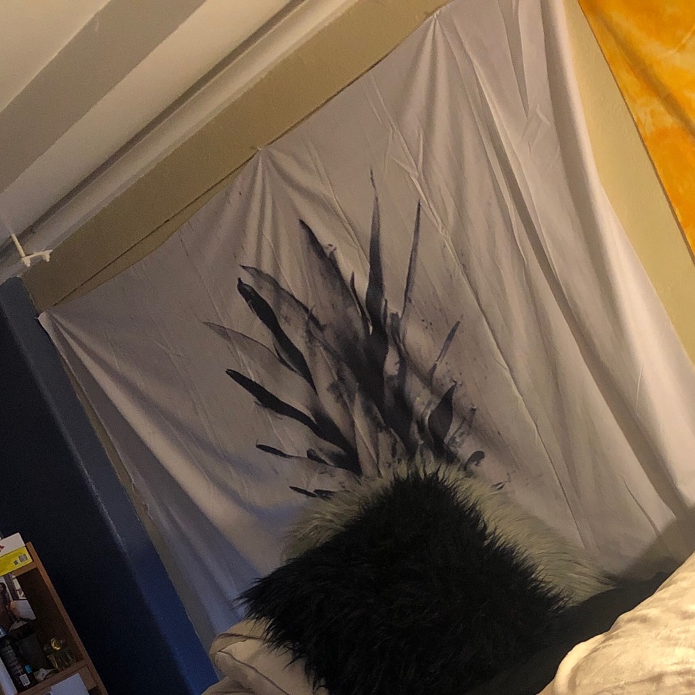 Tapestries and Dorm Pillows